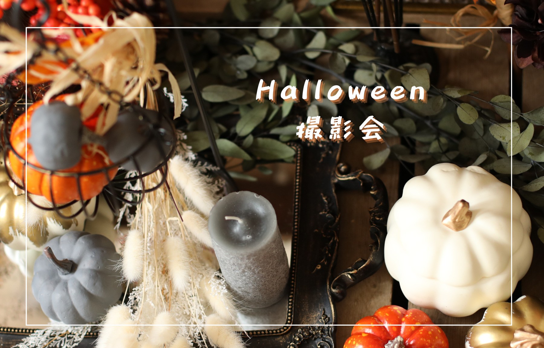 Halloween撮影会